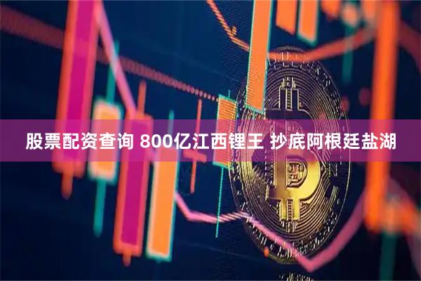 股票配资查询 800亿江西锂王 抄底阿根廷盐湖